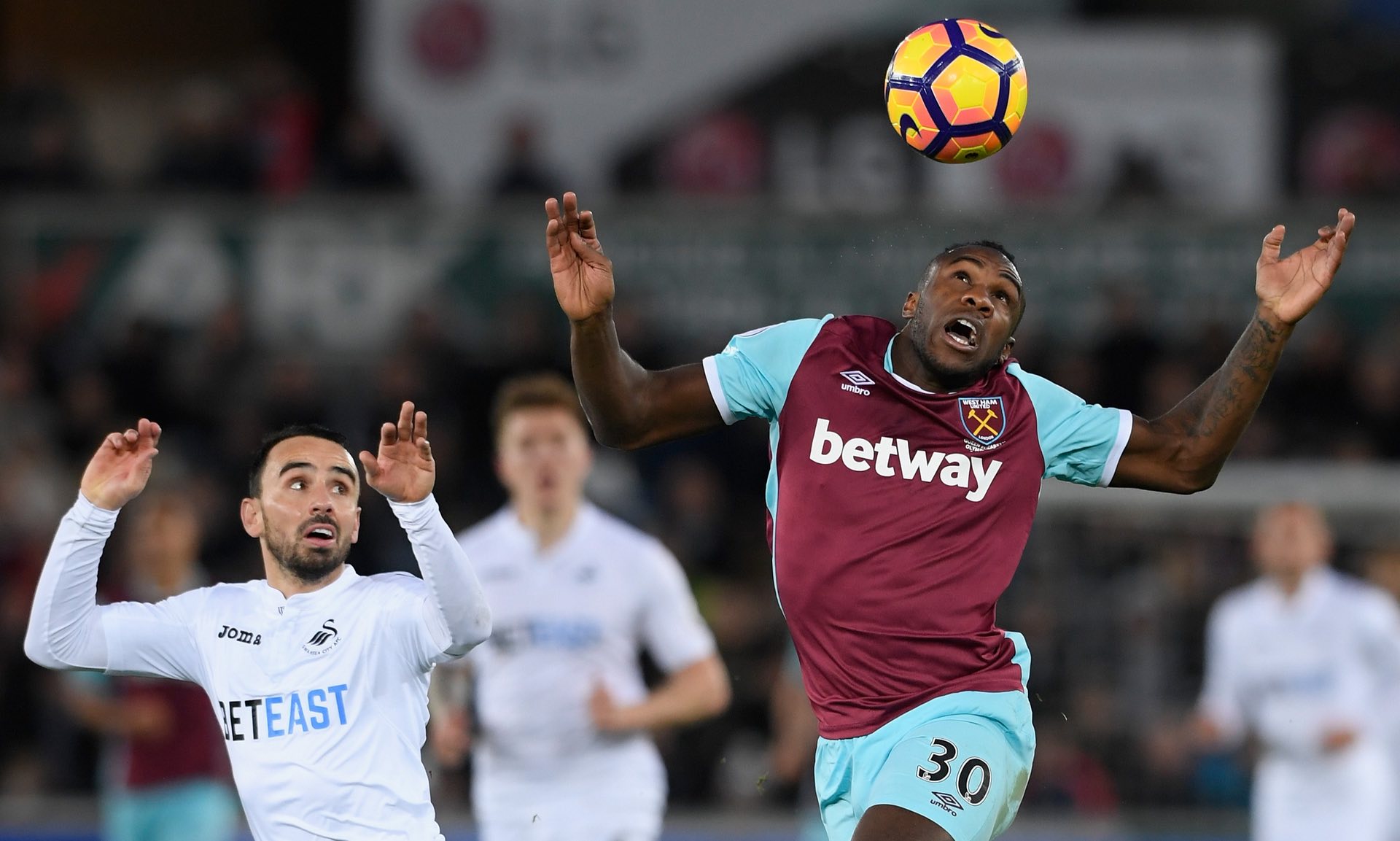 公牛队整体 公牛队整体