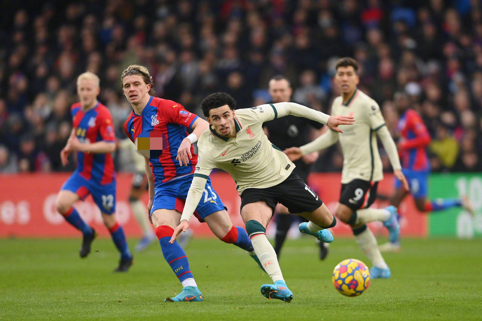 了不同凡响 了不同凡响